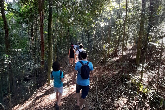 Tijuca National Park and all its wonders! - Starting at Praça Afonso Viseu