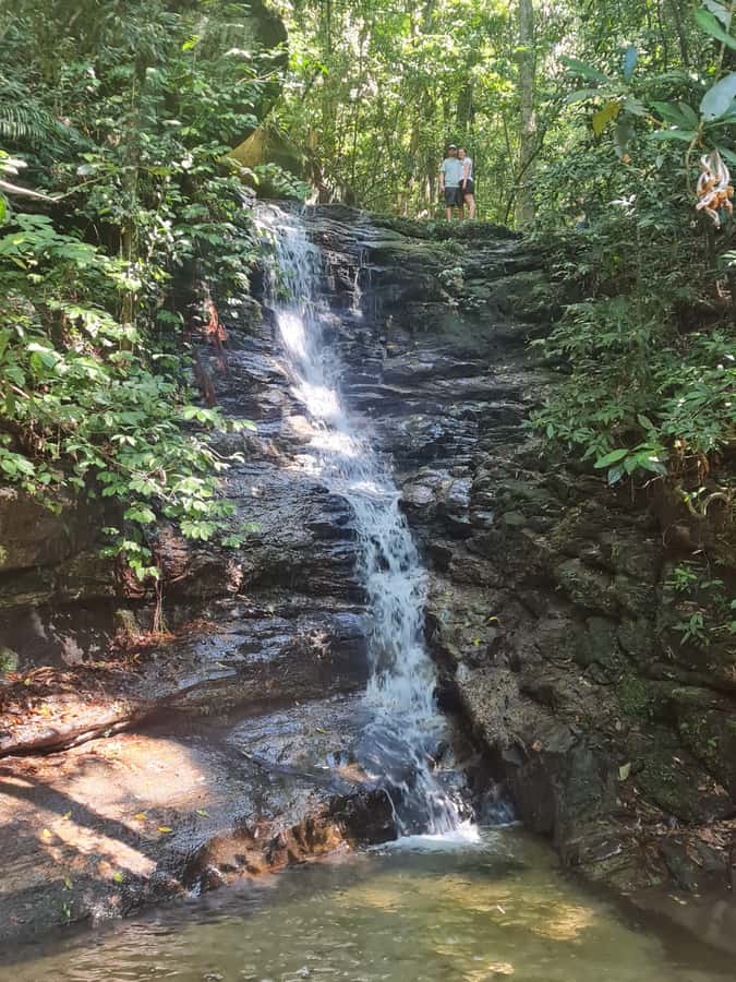 Tijuca Rain Forest - Adventure through Waterfalls & Caves - The cave hike is the tour’s main adventure